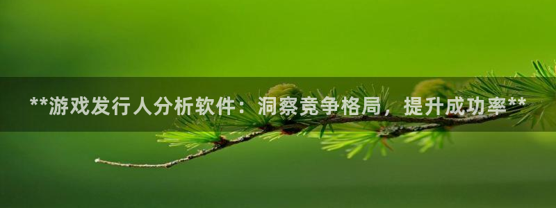 新城平台官网首页登录：**游戏发行人分析软件：洞察竞争格局，提升成功率**