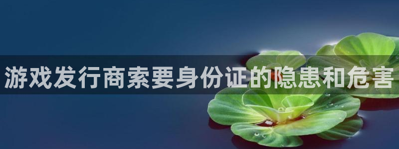 新城平台线路登录：游戏发行商索要身份证的隐患和危害