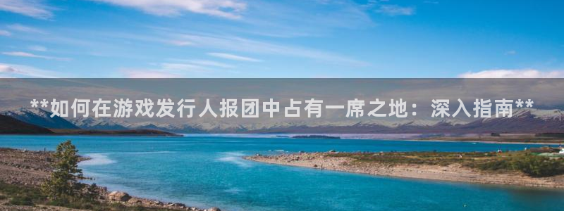 新城平台线路登录不上去怎么回事：**如何在游戏发行人报团中占有一席之地：深入指南**