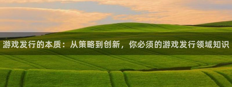 新城平台登录