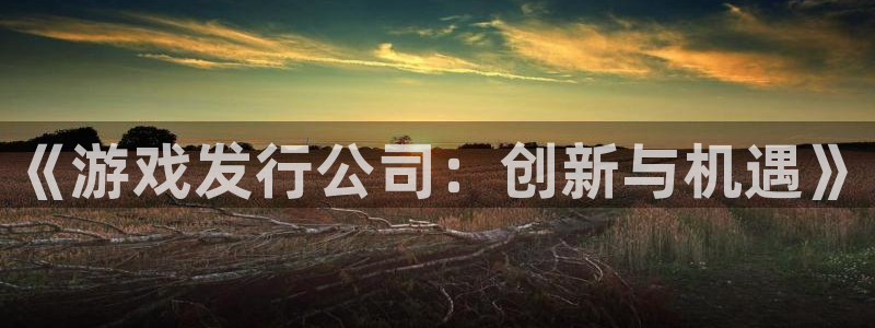 新城平台招商