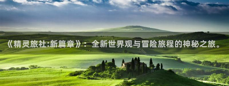 新城平台登陆