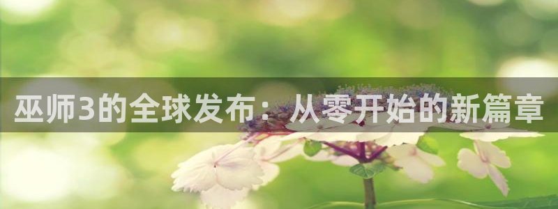 新城平台属于哪个系列