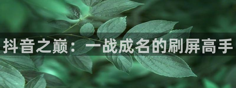 新城平台注册公司流程及费用