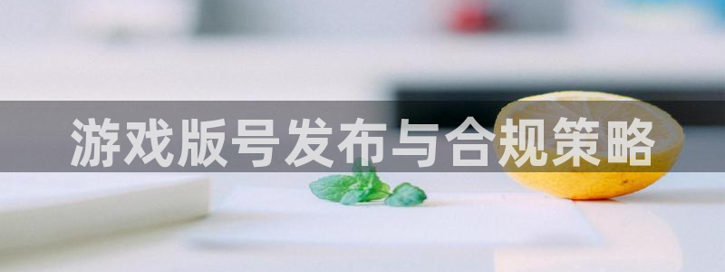 新城平台登录密码忘了怎么找回