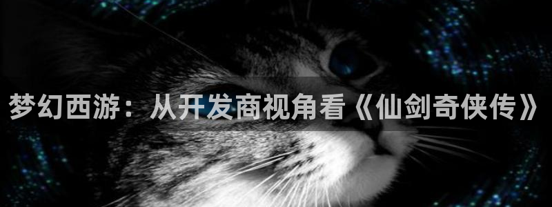 新城平台注册