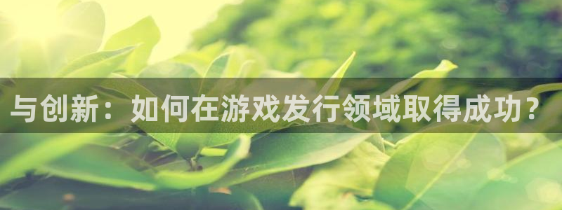 新城平台线路登录