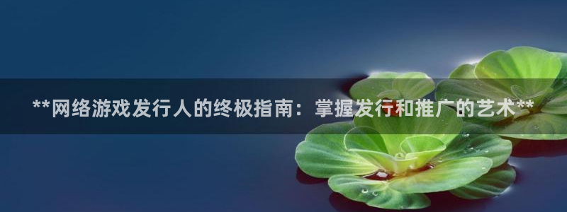 新城平台线路登录不上去：**网络游戏发行人的终极指南：掌握发行和推广的艺术**