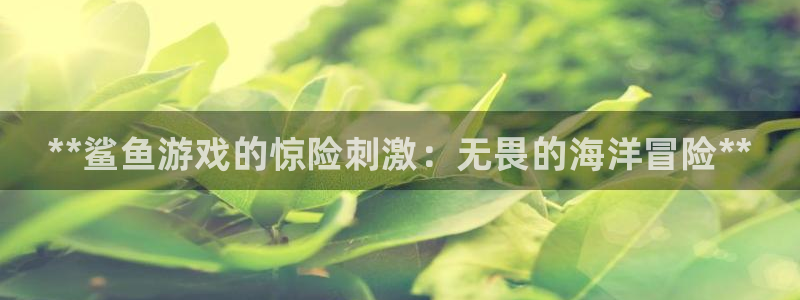 新城平台线路登录不上去怎么回事儿：**鲨鱼游戏的惊险刺激：无畏的海洋冒险**