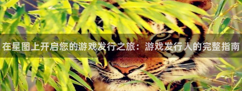 新城平台登录入口官网下载app：在星图上开启您的游戏发行之旅：游戏发行人的完整指南