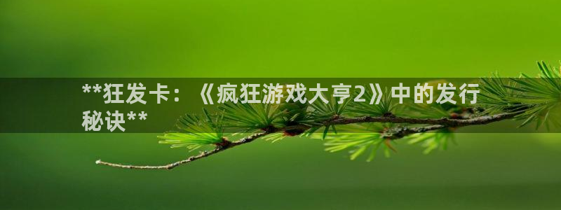 新城平台平台最新活动消息：**狂发卡：《疯狂游戏大亨2》中的发行
秘诀**