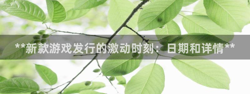 新城平台在线登陆：**新款游戏发行的激动时刻：日期和详情**