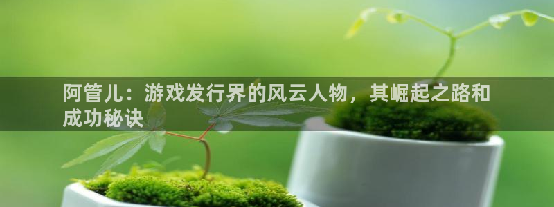 新城平台公司：阿管儿：游戏发行界的风云人物，其崛起之路和
成功秘诀