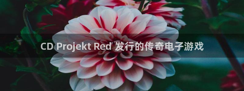 新城平台登录入口官网网址是多少：CD Projekt Red 发行的传奇电子游戏