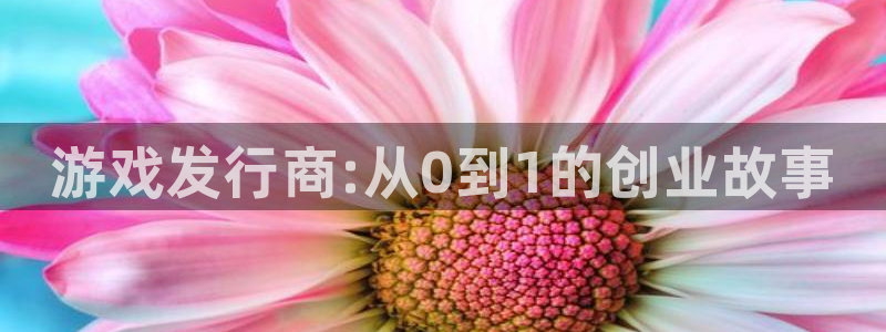 新城平台总代理是谁：游戏发行商:从0到1的创业故事