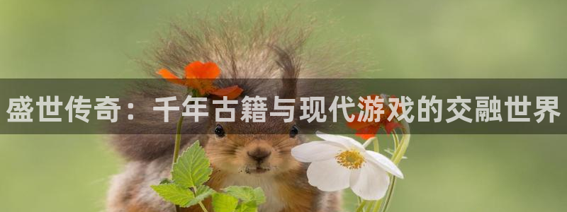 新城平台分分彩：盛世传奇：千年古籍与现代游戏的交融世界