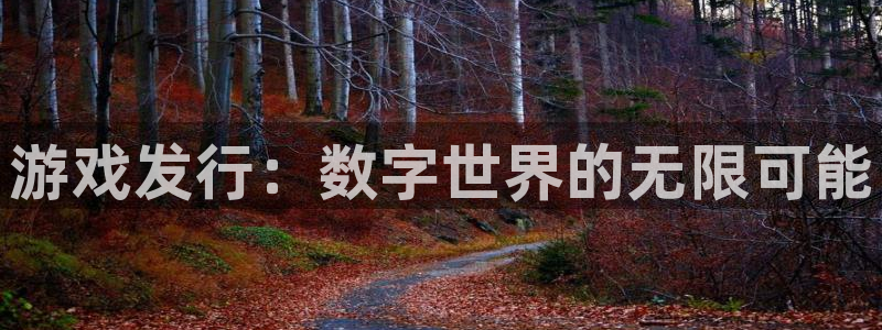 新城平台登录入口官网下载app：游戏发行：数字世界的无限可能