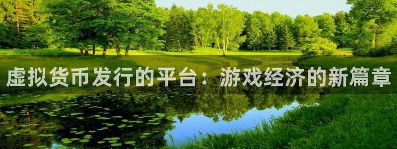 新城平台平台最新活动：虚拟货币发行的平台：游戏经济的新篇章