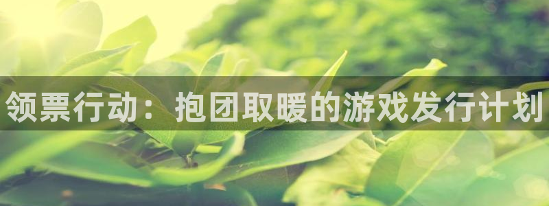 新城平台企业信息查询：领票行动：抱团取暖的游戏发行计划