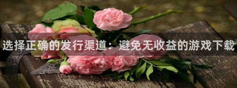 新城平台登录入口官网查询网址：选择正确的发行渠道：避免无收益的游戏下载