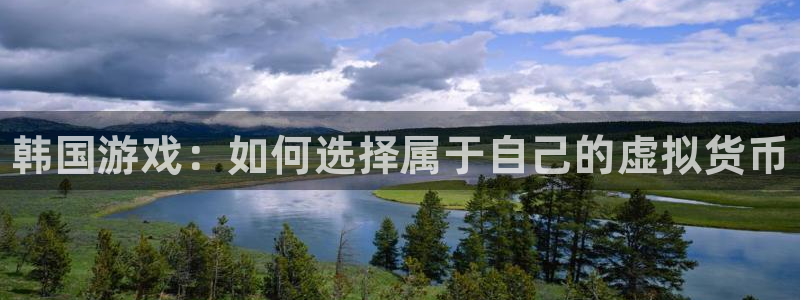 新城平台属于哪个系列：韩国游戏：如何选择属于自己的虚拟货币