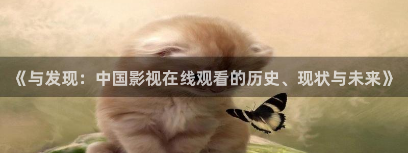 大熊猫影院：《与发现：中国影视在线观看的历史、现状与未来》