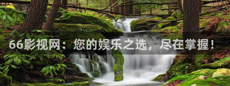 熊猫熊猫：66影视网：您的娱乐之选，尽在掌握！