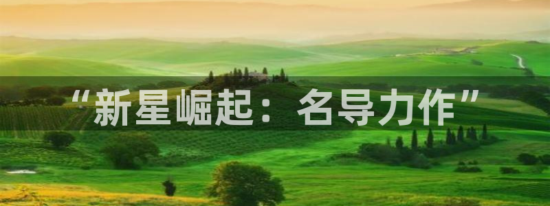 熊猫电影yy8y3免费看哪里：“新星崛起：名导力作”