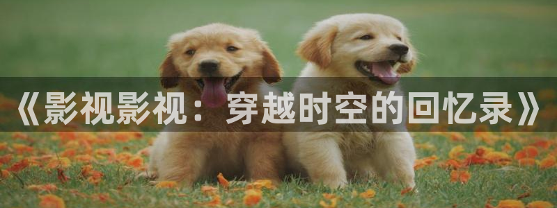 熊猫vcd：《影视影视：穿越时空的回忆录》