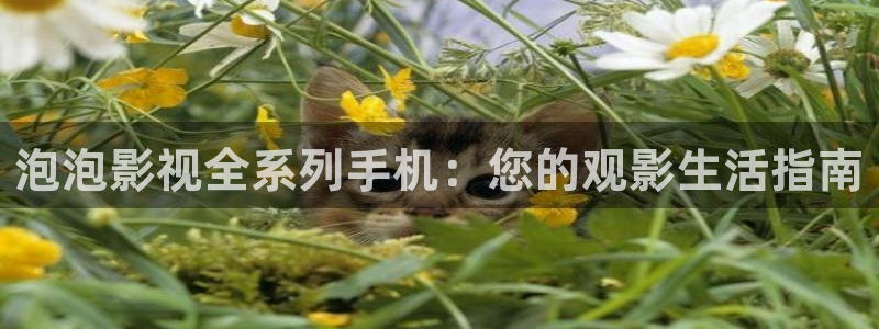 熊猫影院在线观看免费高清：泡泡影视全系列手机：您的观影生活指南
