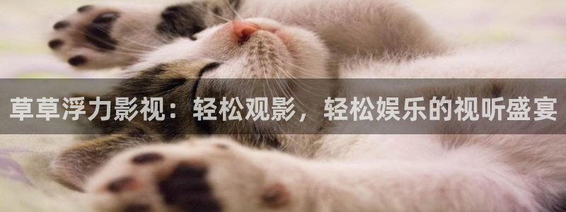 熊猫的价格：草草浮力影视：轻松观影，轻松娱乐的视听盛宴