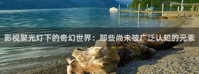 熊猫电影yy8y8最新更新：影视聚光灯下的奇幻世界：那些尚未被广泛认知的元素