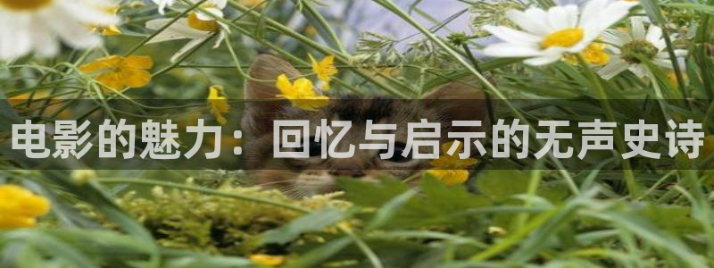 熊猫的电视：电影的魅力：回忆与启示的无声史诗