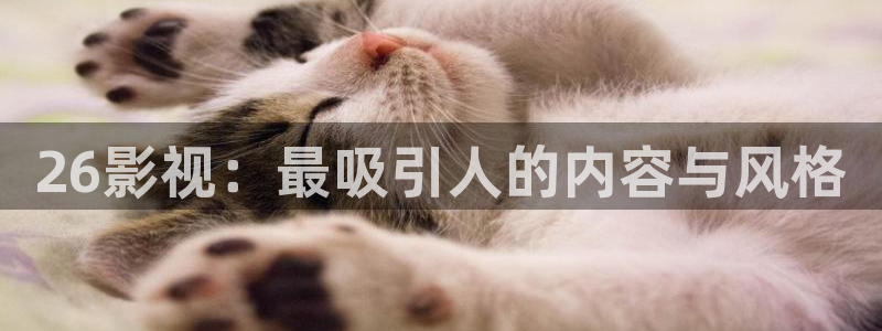 熊猫电影xm66免费观看：26影视：最吸引人的内容与风格