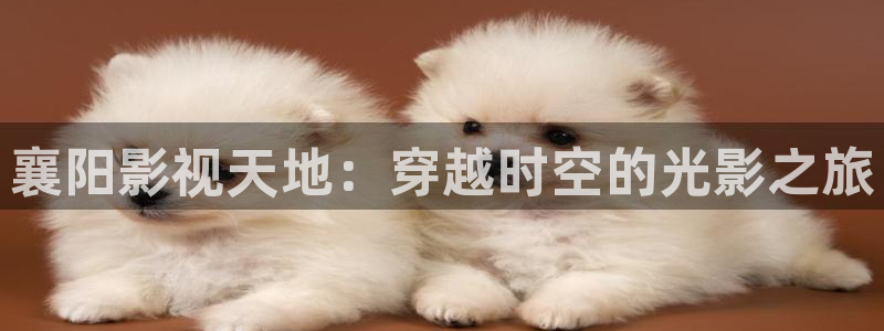 熊猫影院tv：襄阳影视天地：穿越时空的光影之旅