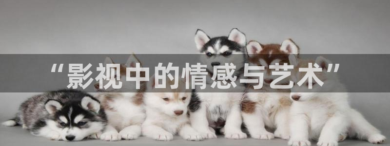 熊猫高清在线观看：“影视中的情感与艺术”